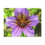 Purple Salpiglossis Sinuata Flower Postcard