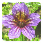 Purple Salpiglossis Sinuata Flower Sticker