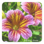Purple Salpiglossis Sinuata Flower Sticker