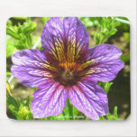 Purple Salpiglossis Sinuata Flowers Mousepad