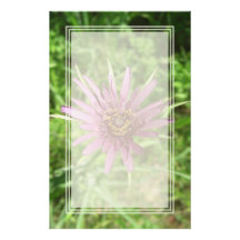 Purple Salsify Flower Blank Stationery