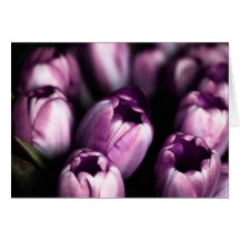 Purple Satin Card