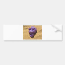 Purple Seahorse Bumper Sticker