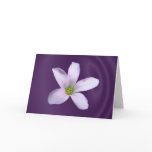 Purple Shamrock ~ card