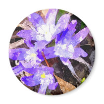 Purple Snow Glories Fridge Magnets