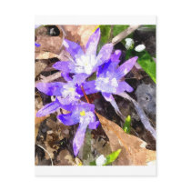 Purple Snow Glories Postcard