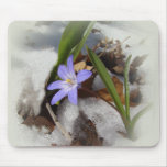 Purple snowflower mouse pads