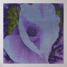 Purple Spirit Poppy Poster