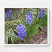 Purple Spring Flowers CricketDiane Art & Photog Mouse Pad