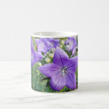 Purple Star Mug