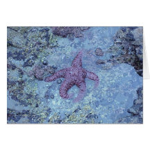 Purple Starfish Card