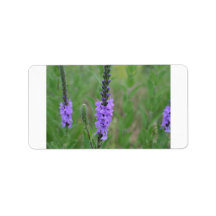 Purple stick weed in a field labels