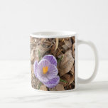 Purple Striped Crocus Flower Mugs