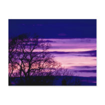 Purple Sunset Tree Silhouette art postcard postcards