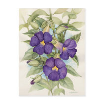 Purple Tropical Flower Painting - Multi Post Card