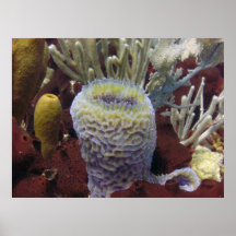 Purple Tube Poster