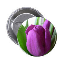 Purple Tulip Pinback Buttons