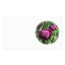 Purple Tulips Business Card