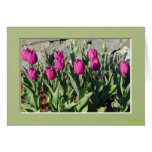 Purple Tulips notecard