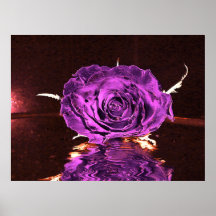 Purple velvet Rose Poster