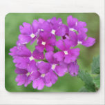 Purple Verbena mousepads