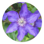 Purple Vibrance Round Stickers
