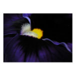 Purple Viola Macro ATC 2 Business Card
