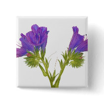 Purple vipers bugloss (echium plantagineum) pins
