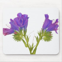 Purple vipers bugloss (echium plantagineum) mouse pad