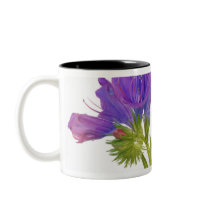 Purple vipers bugloss (echium plantagineum) coffee mugs