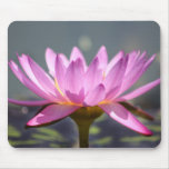 Purple water lily mousepad