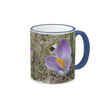 Purple & White Crocus Bloom Coffee Mugs