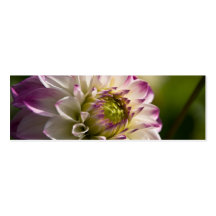 Purple & White Dahlia Business Card