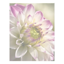 Purple & White Dahlia Customized Letterhead