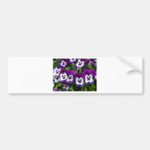 Purple & white flowers bumper sticker