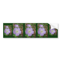 Purple Wild Geranium Bumper Stickers