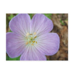 Purple Wild Geranium postcards
