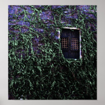 Purple Window $14.95