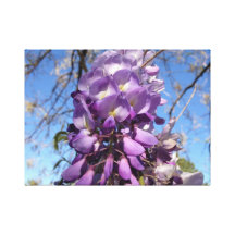 Purple Wisteria canvas Canvas Prints