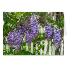 Purple Wisteria ~ card