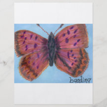 Purplish Copper Butterfly Personalized Flyer
