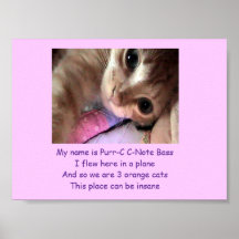 Purr-C C- Note's Intro Poster