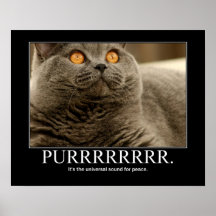 Purr is the universal sound for peace Artwork Posters