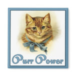 Purr Power