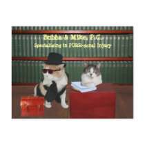 PURR-sonal Injury Cats