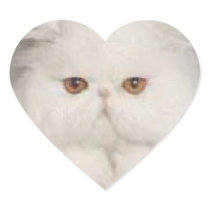 Purrfect Kitty