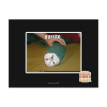 purrito postcards