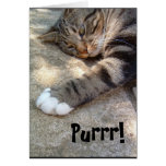 Purrr! Card