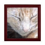 Purssia the Cat Trinket Boxes