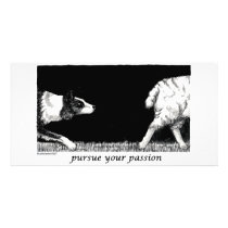 Pursue your passion Border Collie Photo Cards